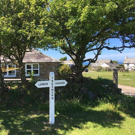 Bed and Breakfast Higher Tresmorn Farm Crackington Haven Zewnętrze zdjęcie