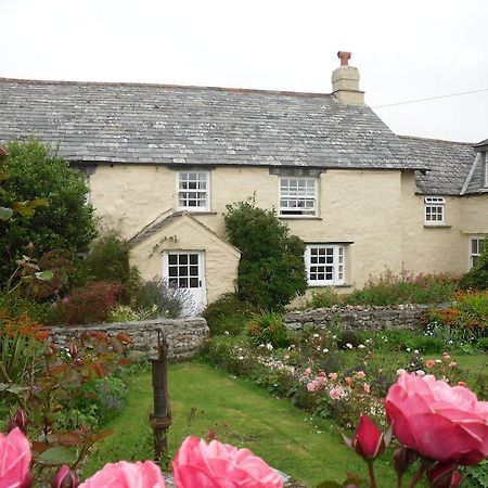 Bed and Breakfast Higher Tresmorn Farm Crackington Haven Zewnętrze zdjęcie
