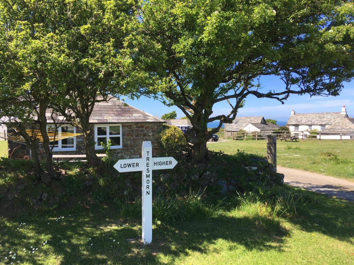 Bed and Breakfast Higher Tresmorn Farm Crackington Haven Zewnętrze zdjęcie