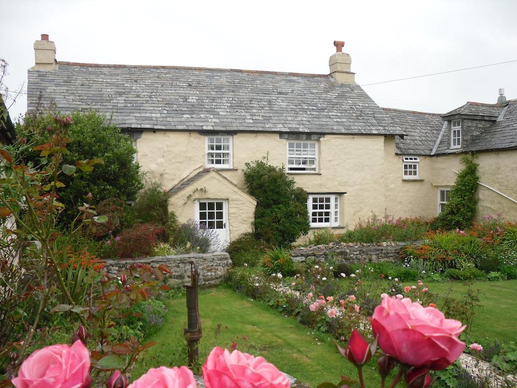 Bed and Breakfast Higher Tresmorn Farm Crackington Haven Zewnętrze zdjęcie