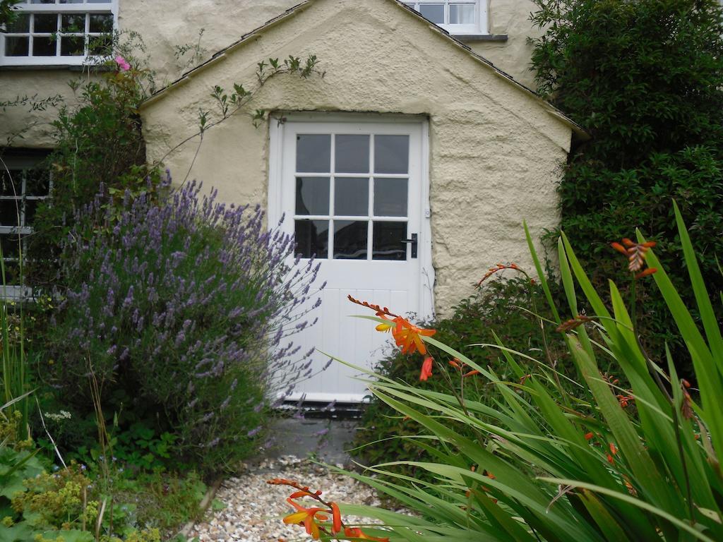 Bed and Breakfast Higher Tresmorn Farm Crackington Haven Zewnętrze zdjęcie