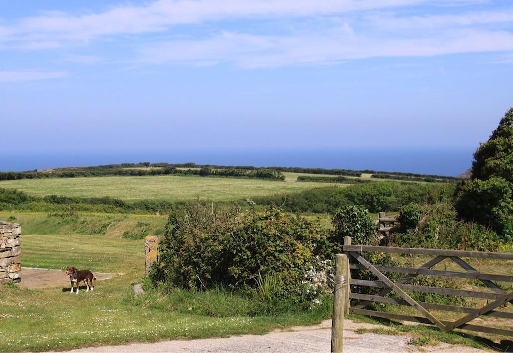 Bed and Breakfast Higher Tresmorn Farm Crackington Haven Zewnętrze zdjęcie