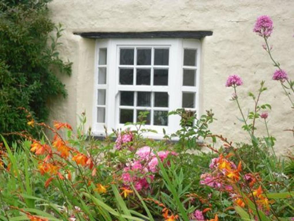 Bed and Breakfast Higher Tresmorn Farm Crackington Haven Zewnętrze zdjęcie